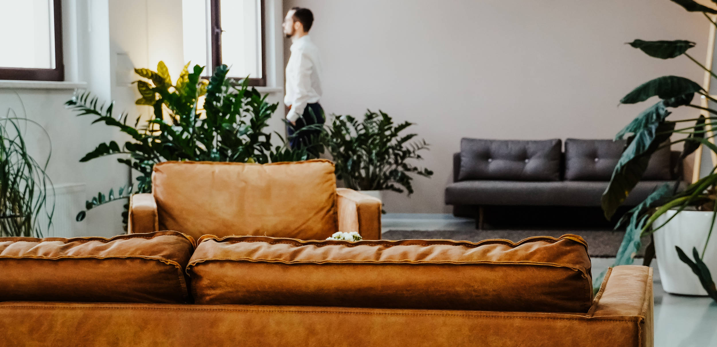 A relatively green office with a person in the background